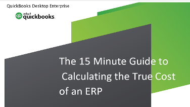 true cost of ERP 